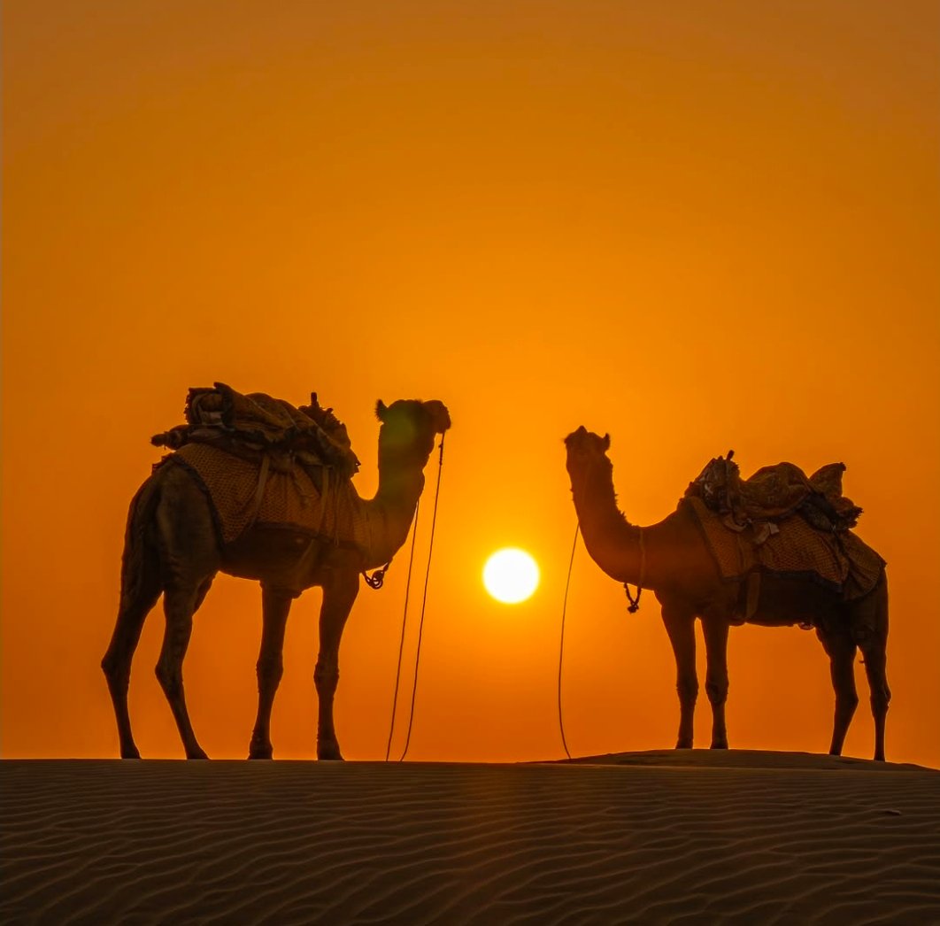 Thar Desert